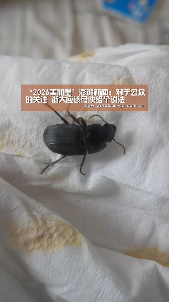 ‘2026美加墨’澎湃新闻:对于公众的关注 浙大应该尽快给个说法(图3) 2026美加墨