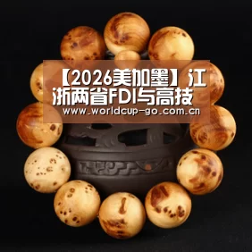 【2026美加墨】江浙两省FDI与高技术产业集聚互动关系的比较研究(图3) 中文资讯