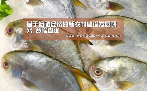 中文资讯