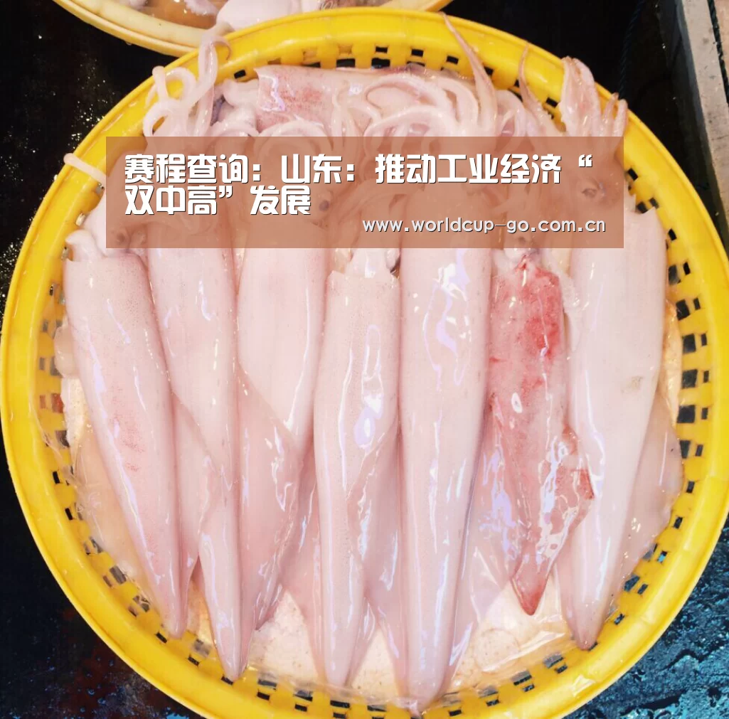 赛程查询:山东:推动工业经济“双中高”发展(图1) 赛程查询